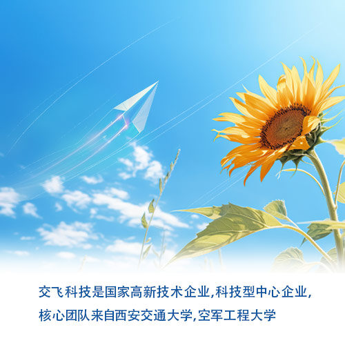 西安交飞信息科技有限公司